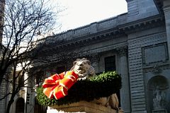 02-1 Patience Stone Lion With Christmas Garland At The Entrance To New York City Public Library Main Branch